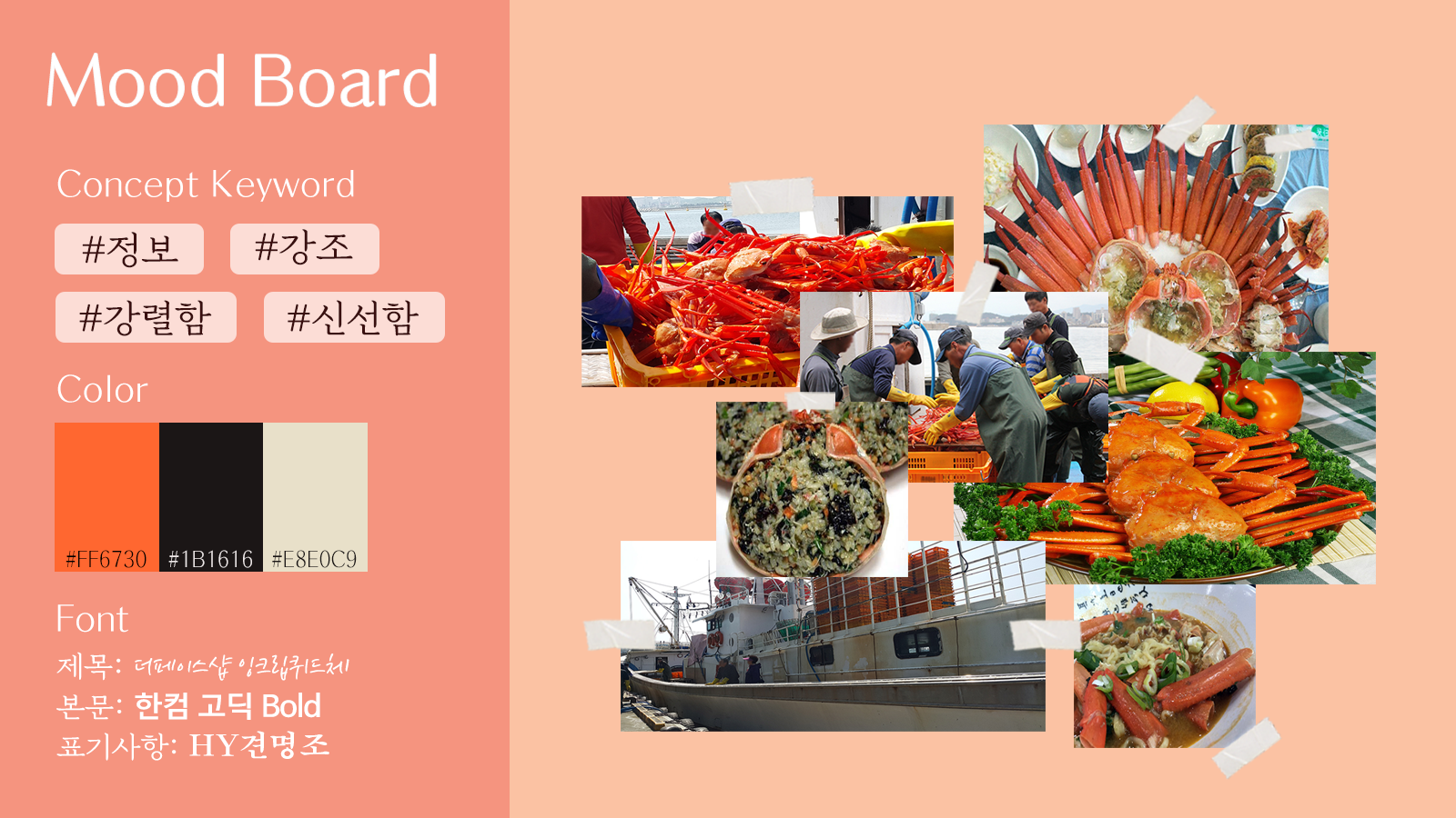 홍게1 무드보드